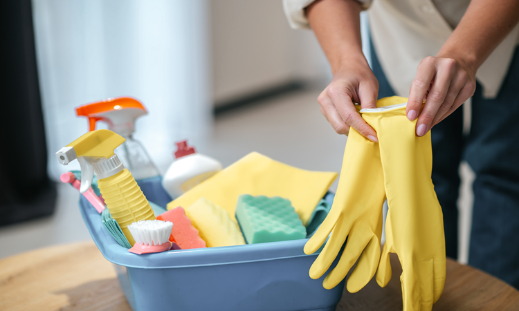 Cleaning Service